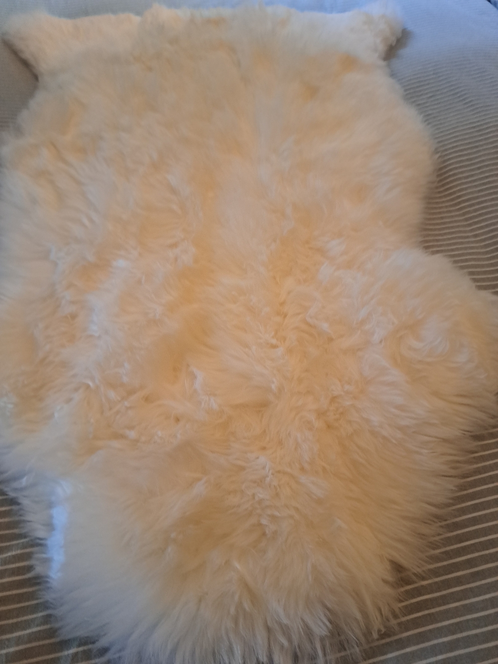 Plush Cream Faux Sheepskin Accent Rug - Brand